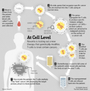 CAR-Tϸ��������������������ʷ����̱�