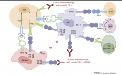 Ŀǰȫ���Ѿ��ж�PD-1/PD-L1����ҩ������