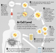 �Ƽ�����������2020�����е�һ��CAR-T��Ʒ