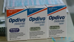 ��һ�ν���PD-1������������Ϊ��������