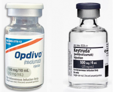 PD-1��û�а���ҩ���õĻ��������ʵõ����