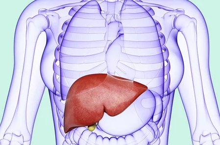 �Ҹ���ʲô��