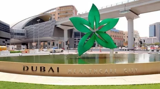 ҽ������