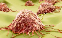 CRISPR��������ԭ��Tϸ������Ч�ó�PD-1