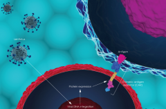 FDA����ҩ����ѯίԱ��ȫƱͨ��CAR-T�Ʒ�KYMRIAH����