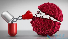 IDO����PD-1���ƺ�ɫ���������ٴ�ʧ��