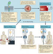 CAR-Tϸ������ʵ������Ȼ��һ���޴�Ŀ���