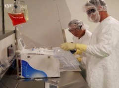 ע��ѪҺ��CAR-Tϸ������ֱ������������ϸ��