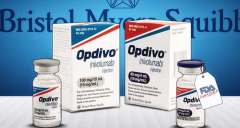 ���̵Ļ��߸����״�PD-1���������л���