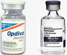 �о���ΪPD-1��HIV�ϲ�NSCLC�����а�ȫ��Ч