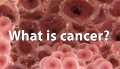 Ϊʲô��֢�β��õĶ���ԭ��