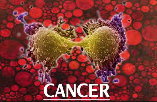 ��֢�����ܻ���