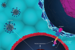 ͬ������CAR-T�Ʒ���һ��ͨ���Ͳ�Ʒ