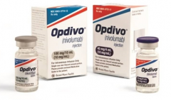 PD-1���Ƽ���ҩʹ�õ���Ч�ʽ���20%