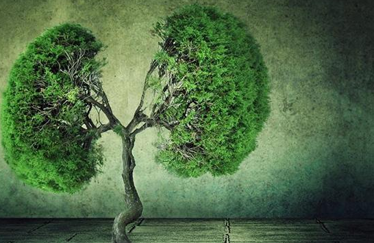 �ΰ���������