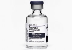 PD-1�Ʒ��������������Ϳ�������������