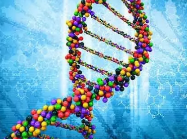 �ΰ����ڻ��ܻ���