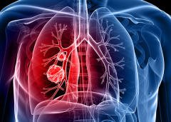 �������ƺ��Сϸ���ΰ������ڴ�Լ��5��