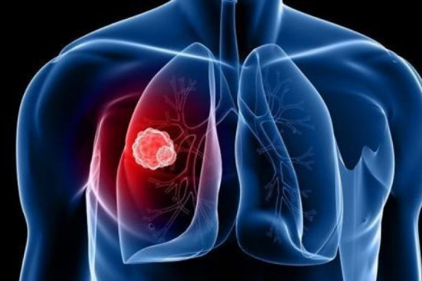 ��ɼ�����Ʒΰ�