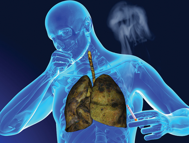 ���ڷΰ�����