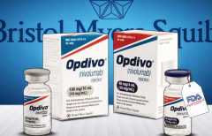 PD-1�Ʒ���Ϊһ�����ƿ���߷ΰ�����������