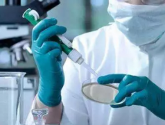 ��������Ŀǰ���ڷΰ����Ƶ���ѡ����