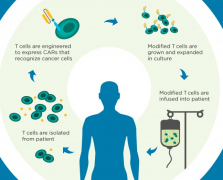 CAR-Tϸ���Ʒ�����Ϊ����ϣ�����˰�֢���Ʒ�֮һ