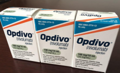 PD-1��Զ����������ƿ����Ը��Ʒΰ�����������