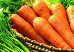 �ΰ�ʳ�Ʒ��Ƽ����ڷΰ���ʲô��