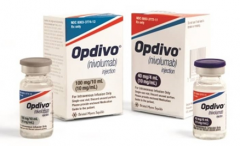 Opdivo(PD-1)�������ڷ�Сϸ���ΰ����ߵ��о�