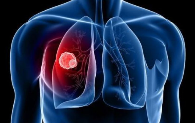 �ΰ������Ʒ���