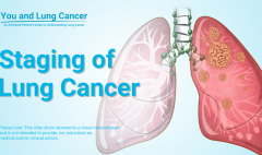 ת���Էΰ���������������ٴ�����