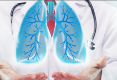 ���������ΰ�������ԭ������Щ