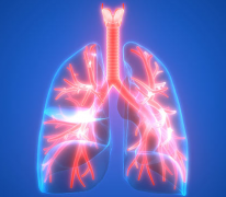 ���ܵ��·ΰ������ļ����������