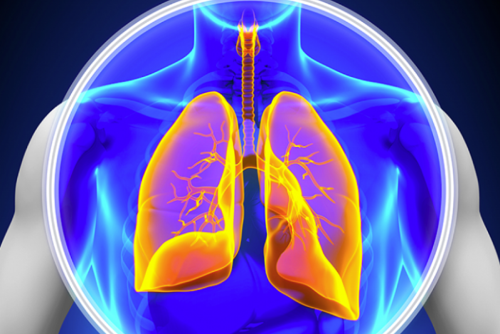 �ΰ�����