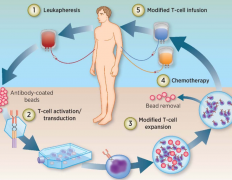 ʹ��CAR-Tϸ������������Ѫ���İ������в���