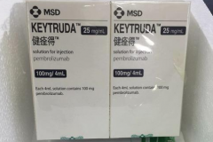 Keytruda(PD-1)�Ի���ͻ��Ľ�ֱ����������