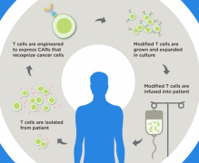 2017�������ذ�CAR-Tϸ���Ʒ���������