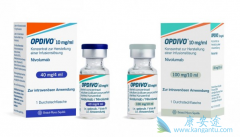 �����е���֪����PD-1���Ƽ���Keytruda��Opdivo