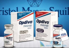 PD-1���Ƽ����帱���ñȴ�ͳ�ķŻ���С