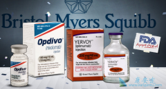 �������ƿ��Խ�һ�����PD-1���Ƽ����ư�֢����Ч��