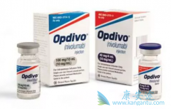 Opdivo�ǵ�һ�����й��ύ���������PD-1ҩ��