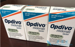 PD-1����Opdivo�ڻ����е��о����
