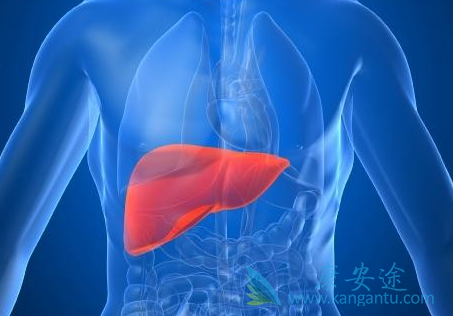 �Ҹο���������