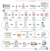 CAR-Tϸ���Ʒ���һ�ֻ���������CAR���������Tϸ���Ʒ�