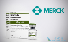 PD-1���Ƽ������Űе����Ƽ������Ͽ���Ҳ���ڻ��Ƚ�����