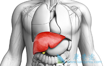 �Ҹα��濹ԭ������ʲô��˼