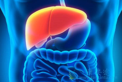 �Ҹο�������