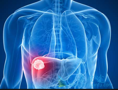 �Ҹ����԰���