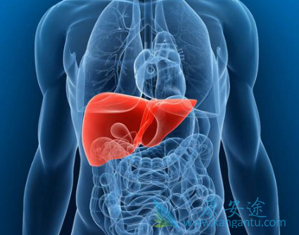 �Ҹ�������